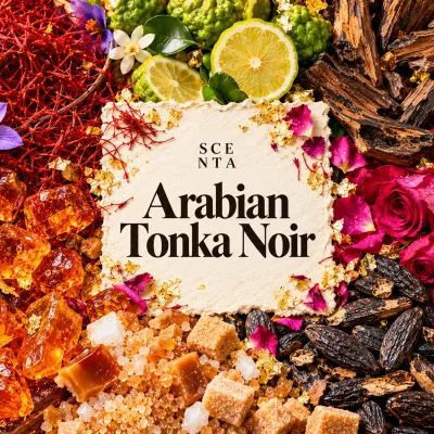Arabian Tonka Noir