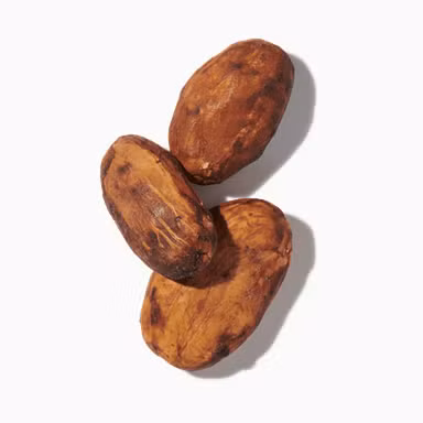 Cocoa