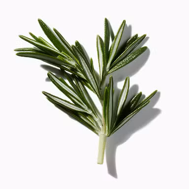 Rosemary