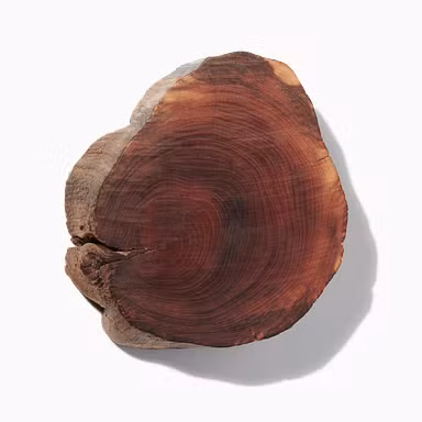 Woods